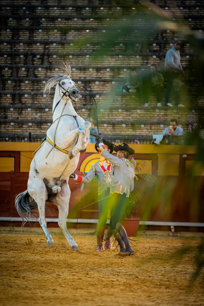 Fotografía de espectáculo en directo