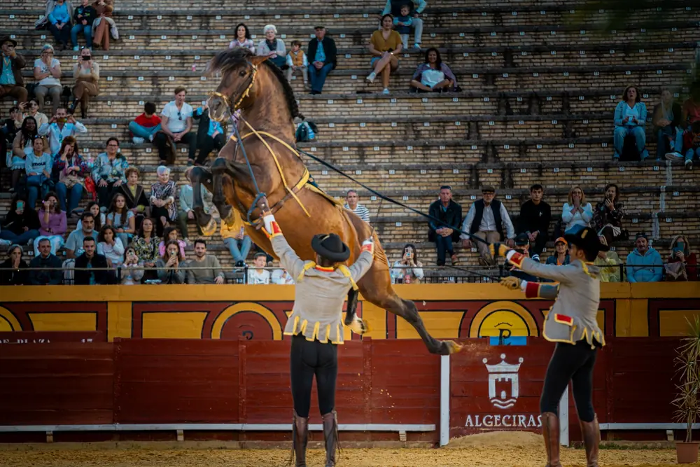 Fotografía de espectáculo en directo