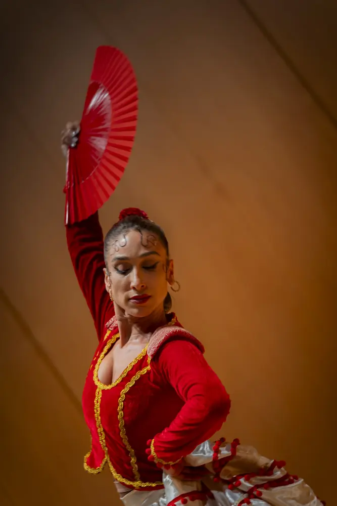 Fotografía de espectáculo en directo