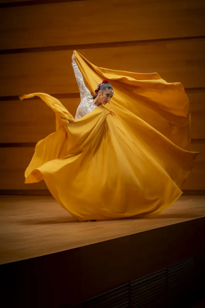 Fotografía de espectáculo en directo
